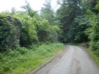 Brezinky