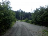 Fajnová cesta